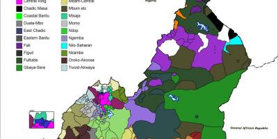 Peta Kamerun bahasa